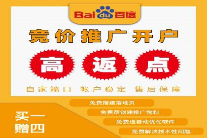 百度竞价SEM策略解析：某品牌广告成功的关键因素