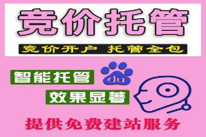 竞价推广代运营：成功案例解析