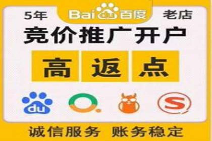 实战解析：SEM竞价托管助力企业快速起量